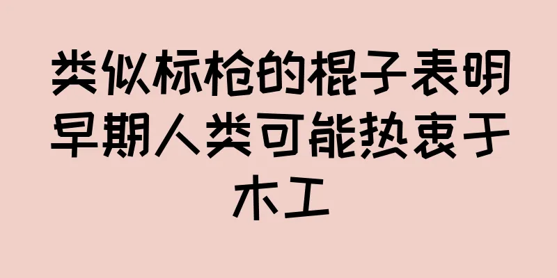 类似标枪的棍子表明早期人类可能热衷于木工