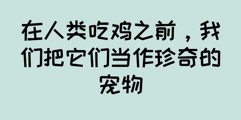 在人类吃鸡之前，我们把它们当作珍奇的宠物