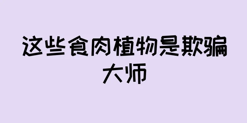 这些食肉植物是欺骗大师