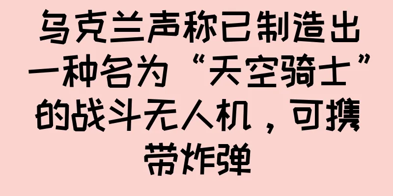 乌克兰声称已制造出一种名为“天空骑士”的战斗无人机，可携带炸弹