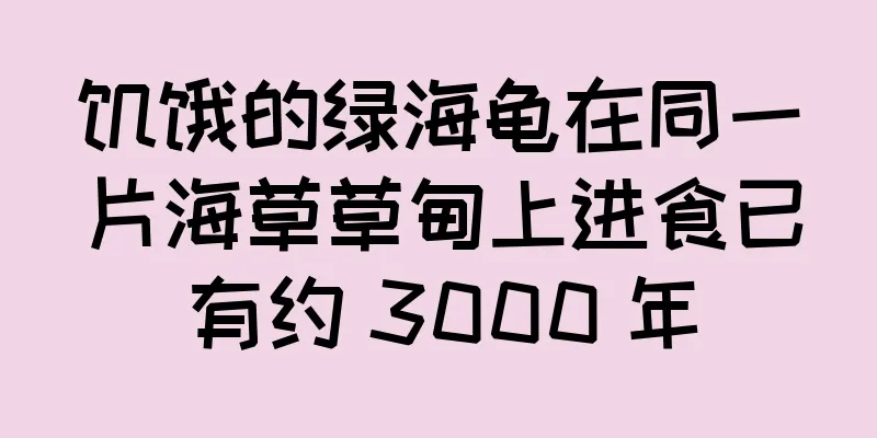 饥饿的绿海龟在同一片海草草甸上进食已有约 3000 年