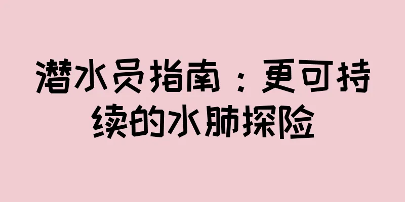 潜水员指南：更可持续的水肺探险