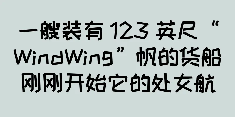 一艘装有 123 英尺“WindWing”帆的货船刚刚开始它的处女航