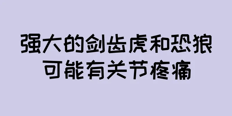强大的剑齿虎和恐狼可能有关节疼痛