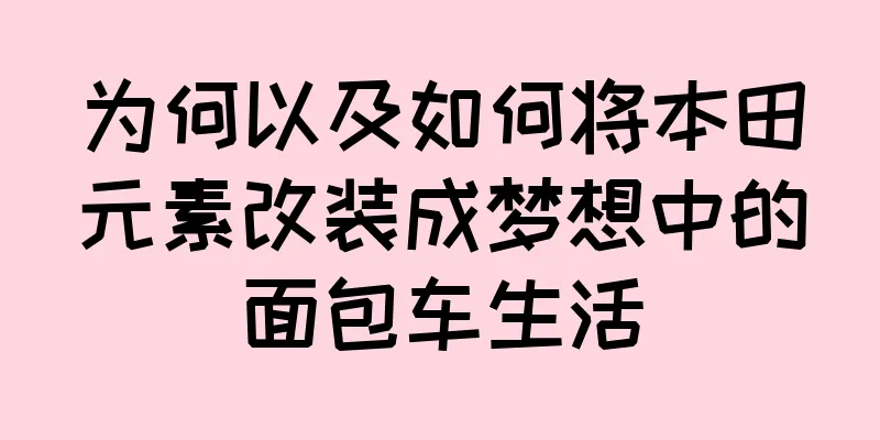 为何以及如何将本田元素改装成梦想中的面包车生活
