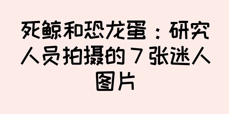 死鲸和恐龙蛋：研究人员拍摄的 7 张迷人图片