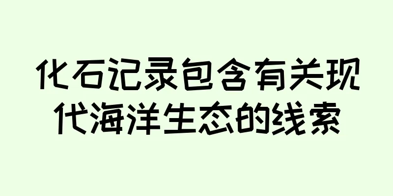 化石记录包含有关现代海洋生态的线索