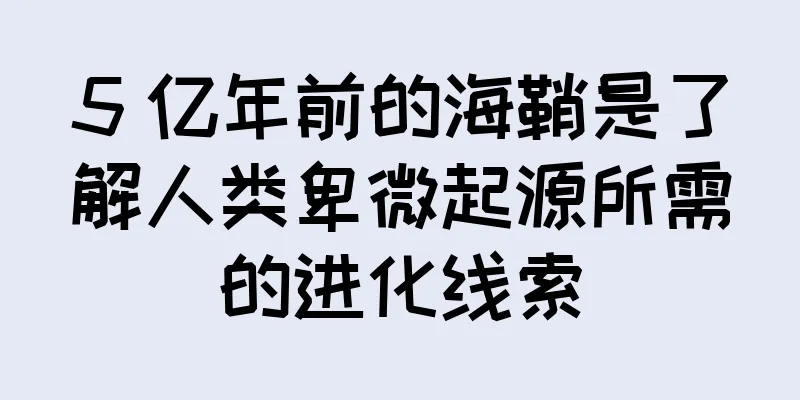 5 亿年前的海鞘是了解人类卑微起源所需的进化线索