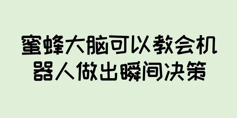 蜜蜂大脑可以教会机器人做出瞬间决策