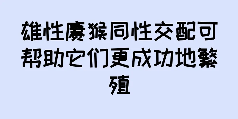 雄性猕猴同性交配可帮助它们更成功地繁殖