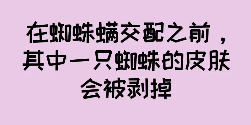 在蜘蛛螨交配之前，其中一只蜘蛛的皮肤会被剥掉