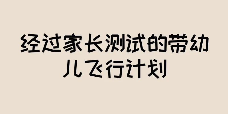 经过家长测试的带幼儿飞行计划
