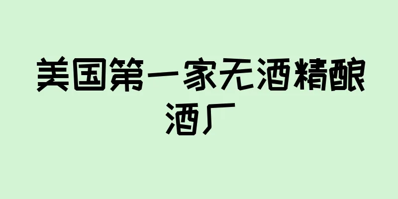 美国第一家无酒精酿酒厂