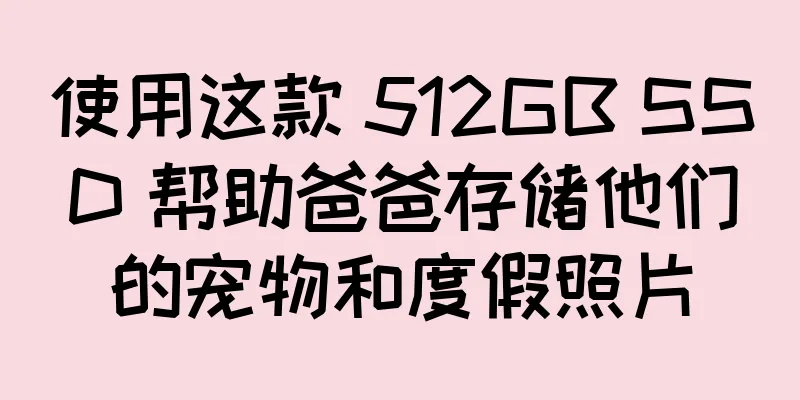 使用这款 512GB SSD 帮助爸爸存储他们的宠物和度假照片