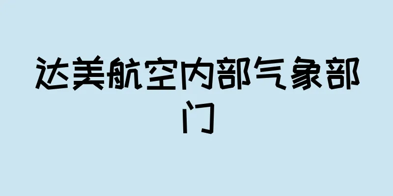达美航空内部气象部门