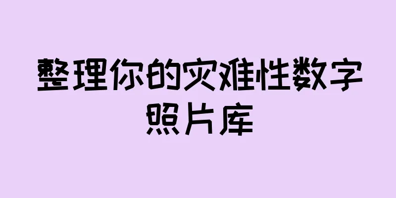 整理你的灾难性数字照片库