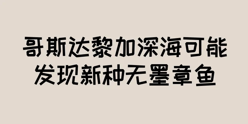 哥斯达黎加深海可能发现新种无墨章鱼