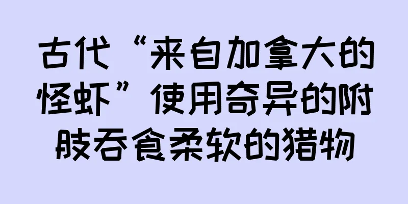 古代“来自加拿大的怪虾”使用奇异的附肢吞食柔软的猎物