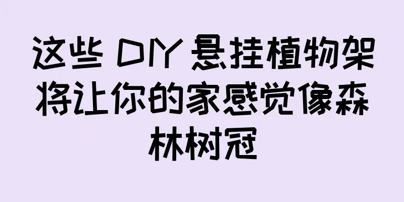 这些 DIY 悬挂植物架将让你的家感觉像森林树冠