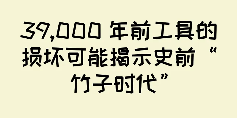 39,000 年前工具的损坏可能揭示史前“竹子时代”