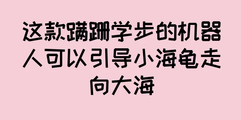 这款蹒跚学步的机器人可以引导小海龟走向大海