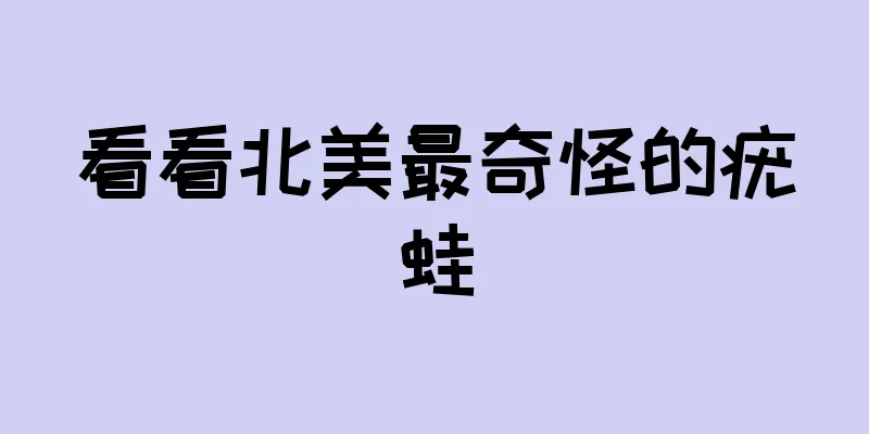 看看北美最奇怪的疣蛙