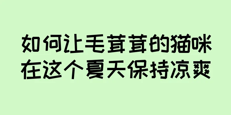 如何让毛茸茸的猫咪在这个夏天保持凉爽