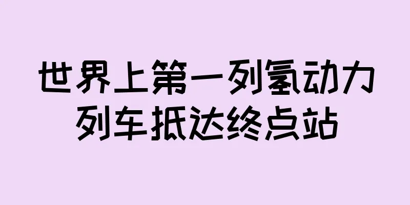 世界上第一列氢动力列车抵达终点站