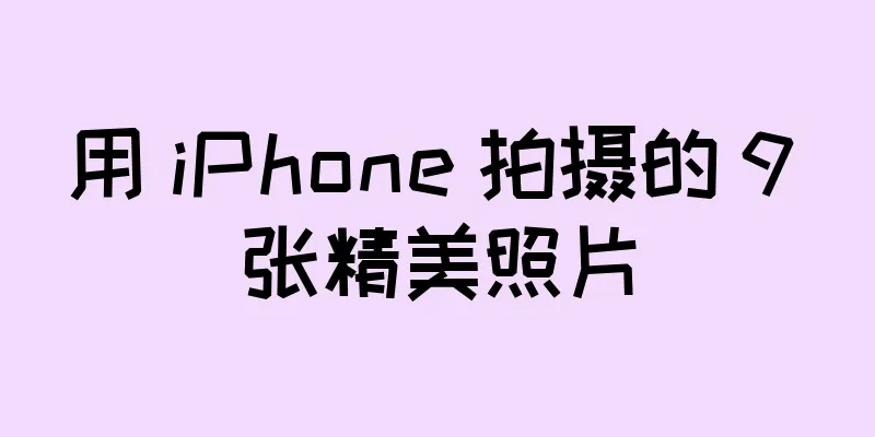 用 iPhone 拍摄的 9 张精美照片