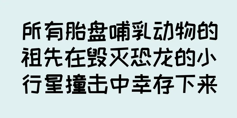 所有胎盘哺乳动物的祖先在毁灭恐龙的小行星撞击中幸存下来