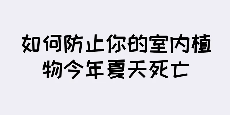 如何防止你的室内植物今年夏天死亡
