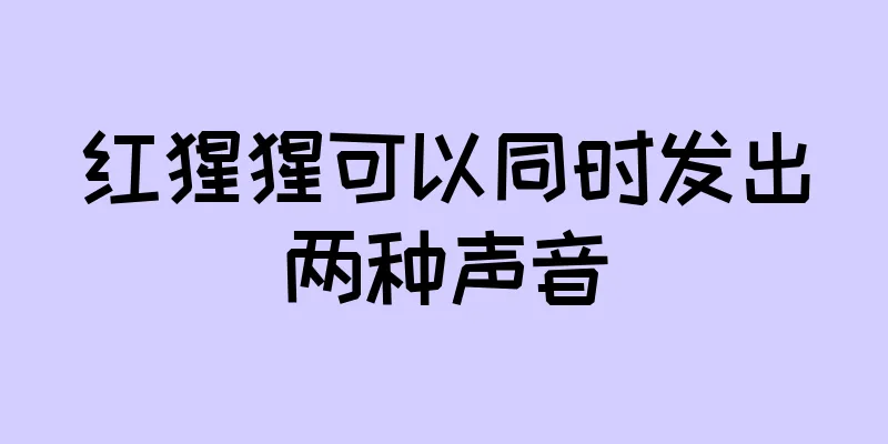 红猩猩可以同时发出两种声音