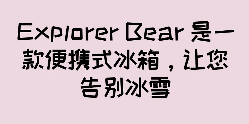 Explorer Bear 是一款便携式冰箱，让您告别冰雪