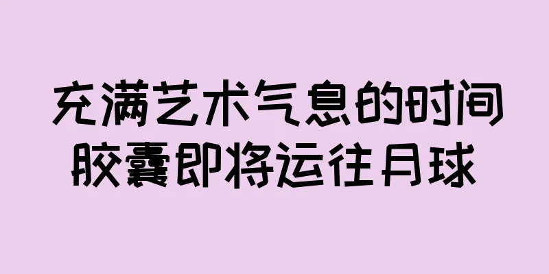 充满艺术气息的时间胶囊即将运往月球