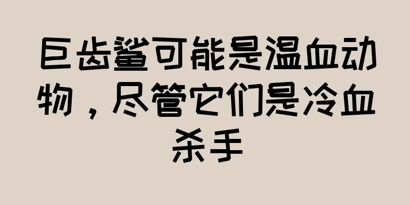巨齿鲨可能是温血动物，尽管它们是冷血杀手