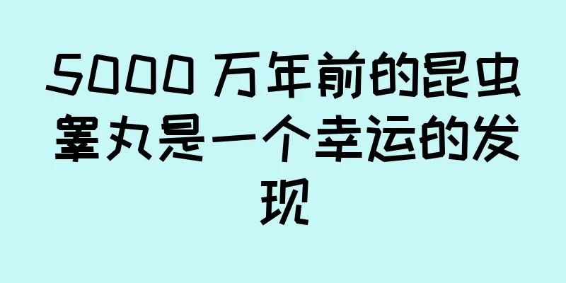 5000 万年前的昆虫睾丸是一个幸运的发现