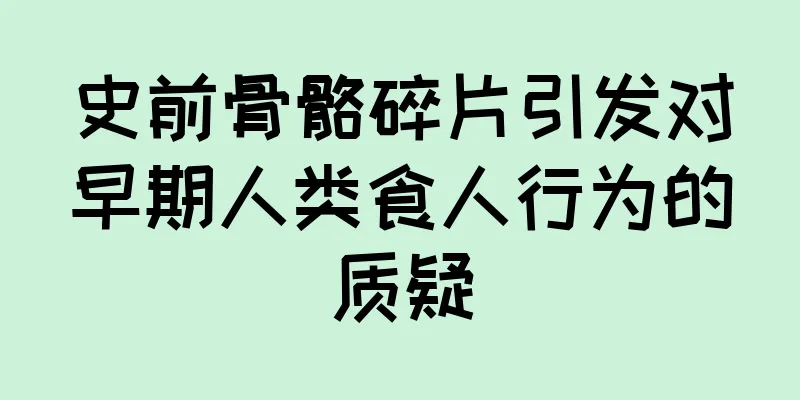 史前骨骼碎片引发对早期人类食人行为的质疑