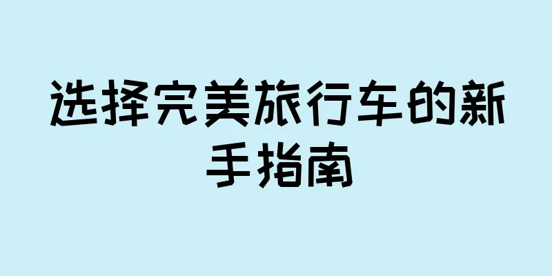 选择完美旅行车的新手指南