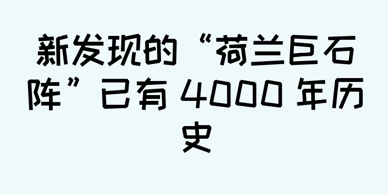 新发现的“荷兰巨石阵”已有 4000 年历史
