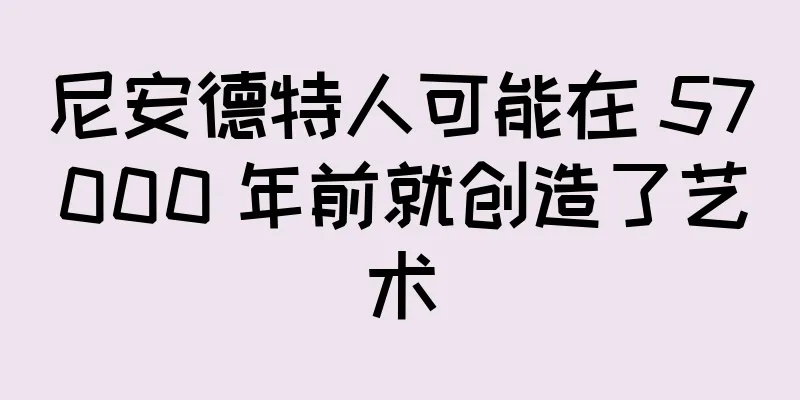 尼安德特人可能在 57000 年前就创造了艺术