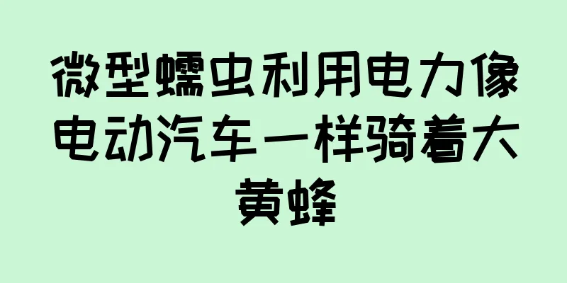 微型蠕虫利用电力像电动汽车一样骑着大黄蜂