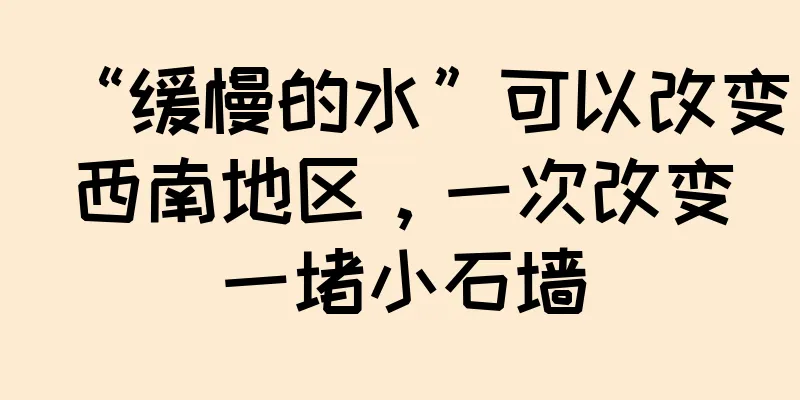 “缓慢的水”可以改变西南地区，一次改变一堵小石墙