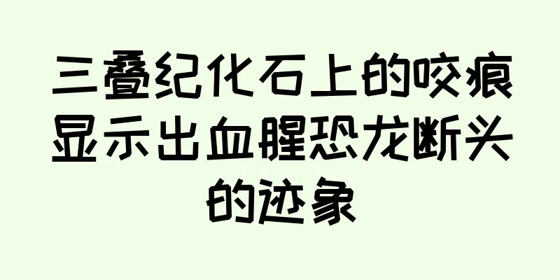 三叠纪化石上的咬痕显示出血腥恐龙断头的迹象