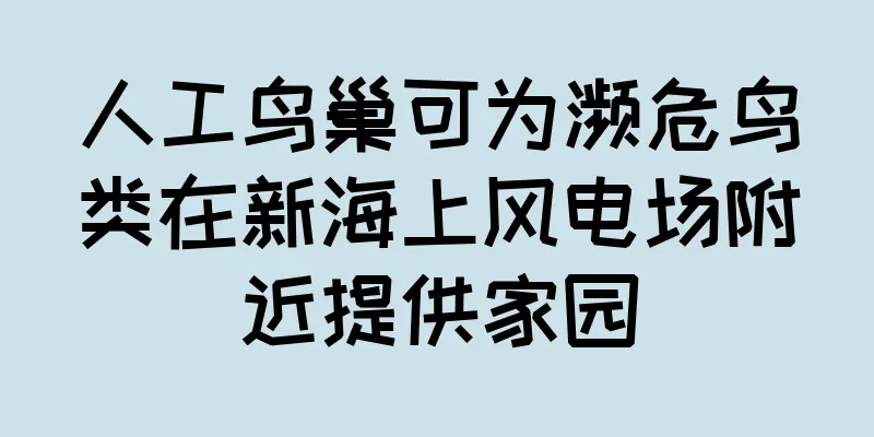 人工鸟巢可为濒危鸟类在新海上风电场附近提供家园