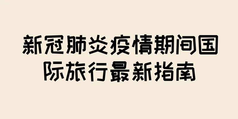 新冠肺炎疫情期间国际旅行最新指南