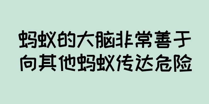 蚂蚁的大脑非常善于向其他蚂蚁传达危险