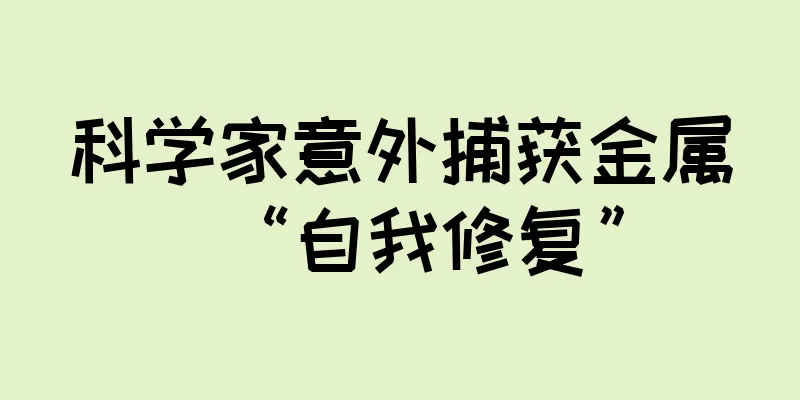 科学家意外捕获金属“自我修复”