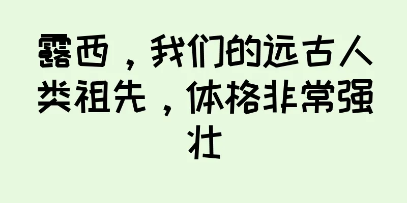 露西，我们的远古人类祖先，体格非常强壮