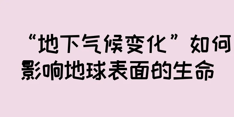 “地下气候变化”如何影响地球表面的生命