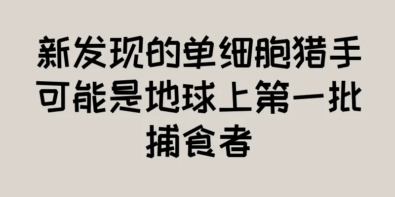 新发现的单细胞猎手可能是地球上第一批捕食者